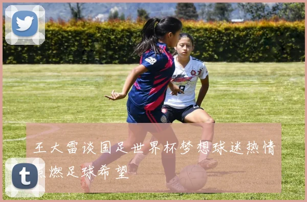 王大雷谈国足世界杯梦想球迷热情点燃足球希望