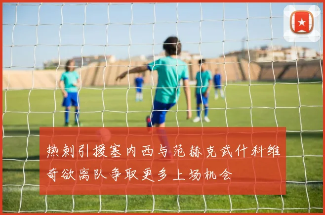 热刺引援塞内西与范赫克武什科维奇欲离队争取更多上场机会